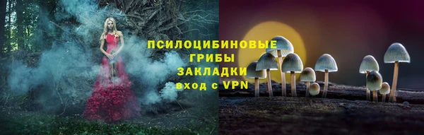 экстази Касимов
