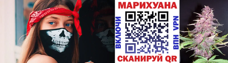 Бошки марихуана марихуана  Купить где  Гатчина 